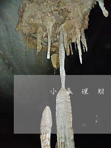 小赢理财新手标逾期 小赢理财新手标逾期