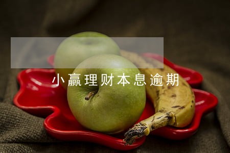 小赢理财本息逾期