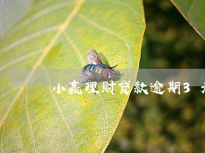 小赢理财贷款逾期3天