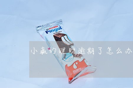 小赢的理财逾期了怎么办 小赢的理财逾期了怎么办