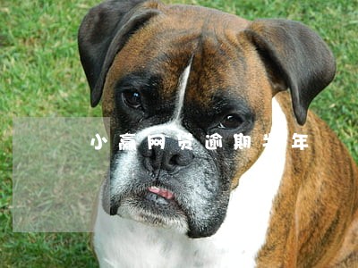 小赢网贷逾期半年 小赢网贷逾期半年