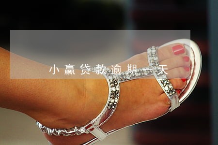 小赢贷款逾期一天 小赢贷款逾期一天