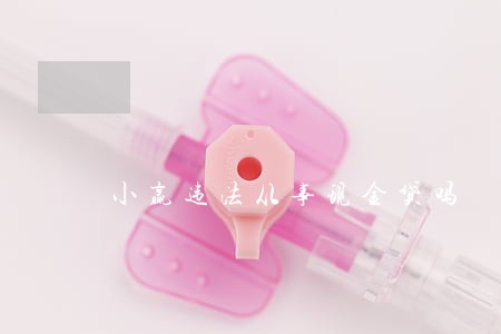 小赢违法从事现金贷吗