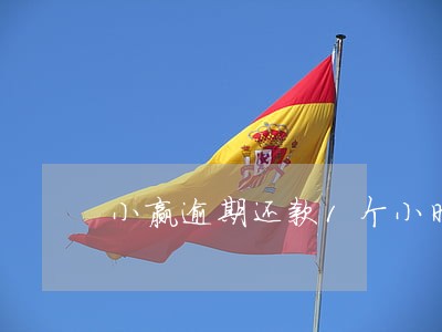 小赢逾期还款1个小时