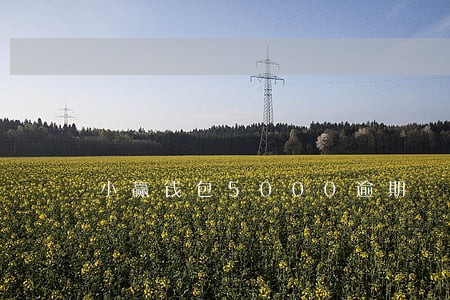 小赢钱包5000逾期 小赢钱包5000逾期