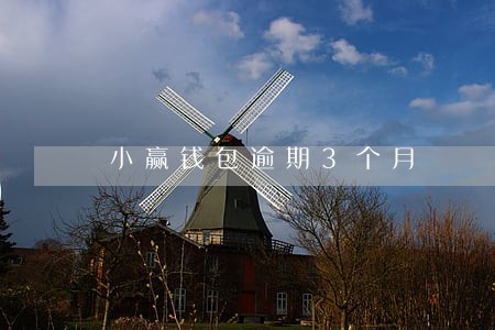 小赢钱包逾期3个月