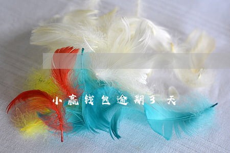 小赢钱包逾期3天 小赢钱包逾期3天
