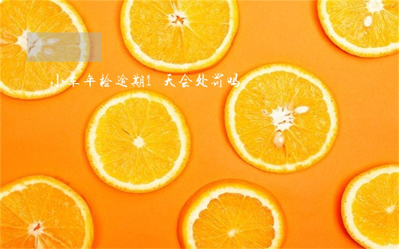 小车年检逾期1天会处罚吗 小车年检逾期1天会处罚吗