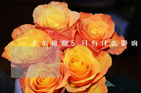 小车逾期5月有什么影响 小车逾期5月有什么影响