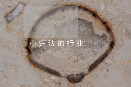 小违法的行业 小违法的行业