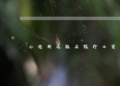 小逾期还能在银行办贷款吗 小逾期还能在银行办贷款吗