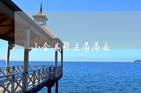 小金县司法局局长