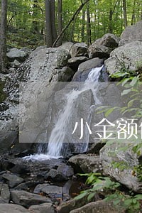 小金额信用卡逾期五年 小金额信用卡逾期五年
