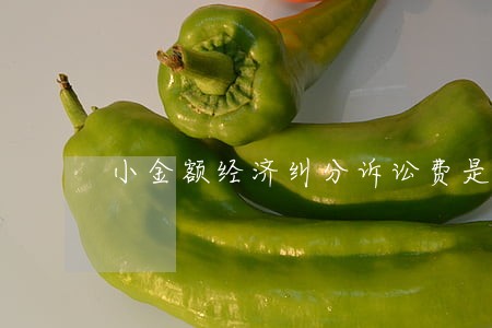 小金额经济纠分诉讼费是多少 小金额经济纠分诉讼费是多少