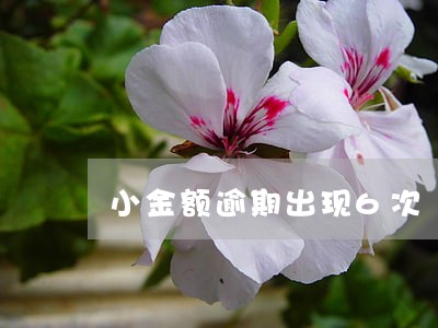小金额逾期出现6次 小金额逾期出现6次