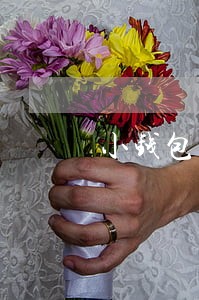 小钱包逾期4天怎么办 小钱包逾期4天怎么办