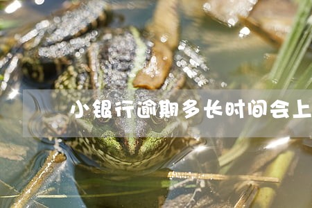 小银行逾期多长时间会上征信 小银行逾期多长时间会上征信