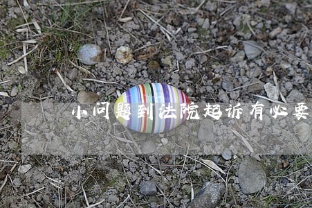 小问题到法院起诉有必要请律师吗
