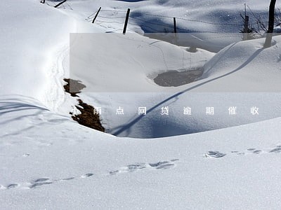 小雨点网贷逾期催收