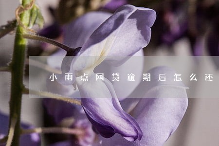 小雨点网贷逾期后怎么还款 小雨点网贷逾期后怎么还款