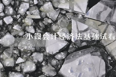 小霞会计经济法基础试看 小霞会计经济法基础试看