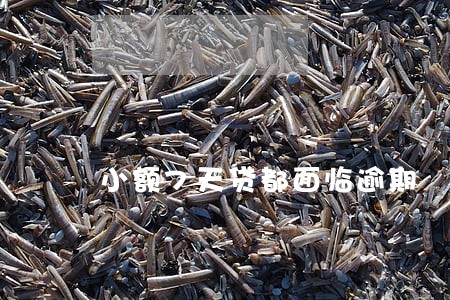 小额7天贷都面临逾期 小额7天贷都面临逾期