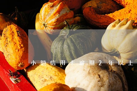 小额信用卡逾期2年以上的后果