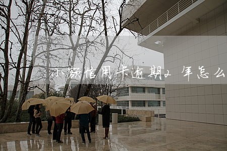 小额信用卡逾期2年怎么还款 小额信用卡逾期2年怎么还款
