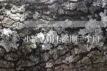 小额信用卡逾期三个月 小额信用卡逾期三个月