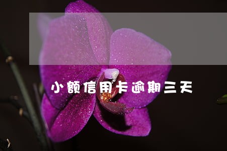 小额信用卡逾期三天 小额信用卡逾期三天