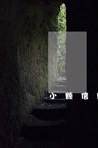 小额信用卡逾期两年