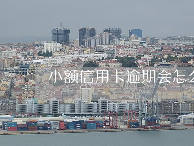 小额信用卡逾期会怎么 小额信用卡逾期会怎么
