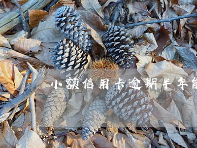 小额信用卡逾期半年能贷款吗 小额信用卡逾期半年能贷款吗