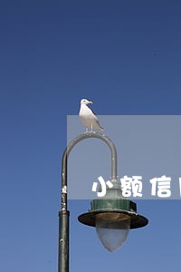 小额信用卡逾期可以消吗 小额信用卡逾期可以消吗