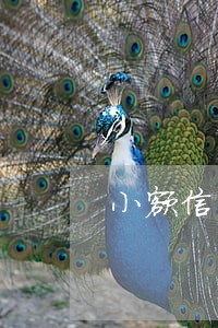 小额信用卡逾期多久催