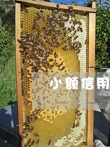 小额信用卡逾期影响贷款买车 小额信用卡逾期影响贷款买车
