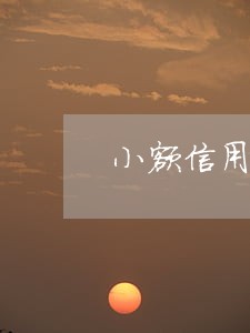 小额信用卡逾期征信 小额信用卡逾期征信