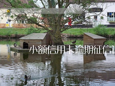 小额信用卡逾期征信记录