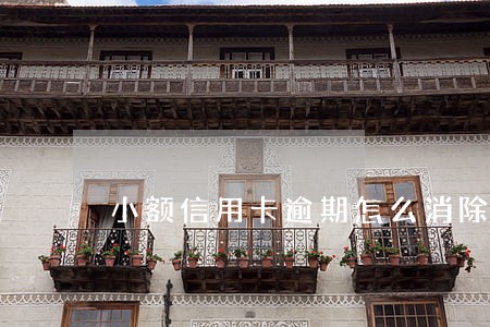 小额信用卡逾期怎么消除征信 小额信用卡逾期怎么消除征信