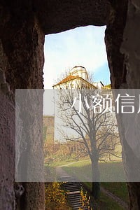 小额信用卡长时间逾期 小额信用卡长时间逾期