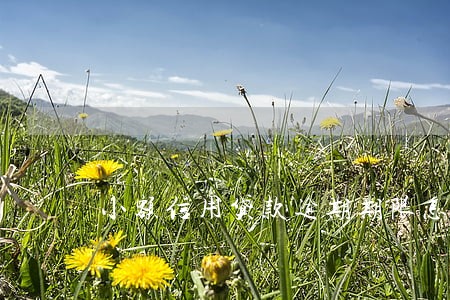 小额信用贷款逾期期限怎么算 小额信用贷款逾期期限怎么算
