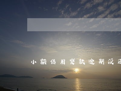 小额信用贷款逾期没还