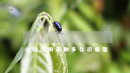 小额信用逾期多久可恢复 小额信用逾期多久可恢复