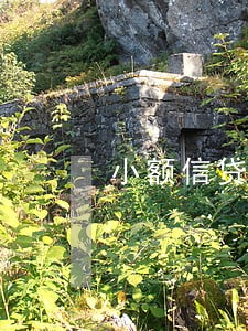 小额信贷市场法律规制研究 小额信贷市场法律规制研究