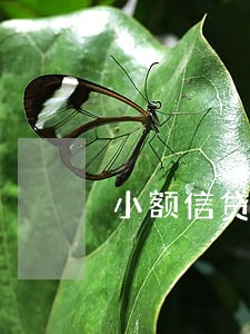 小额信贷逾期一天75元 小额信贷逾期一天75元