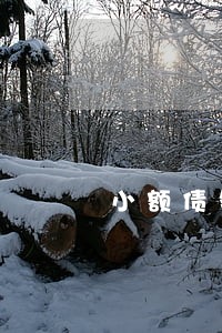 小额债务纠纷律师费用 小额债务纠纷律师费用