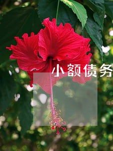 小额债务纠纷需要请律师吗 小额债务纠纷需要请律师吗