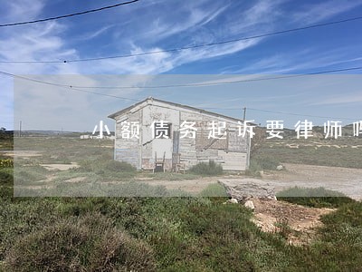 小额债务起诉要律师吗 小额债务起诉要律师吗