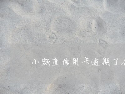 小额度信用卡逾期了会怎样 小额度信用卡逾期了会怎样