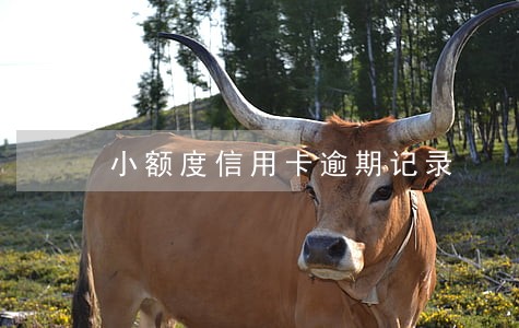 小额度信用卡逾期记录 小额度信用卡逾期记录